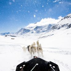 Huskey tochten in Samoëns tijdens de wintersport vanuit vakantiehuis La Tulipe