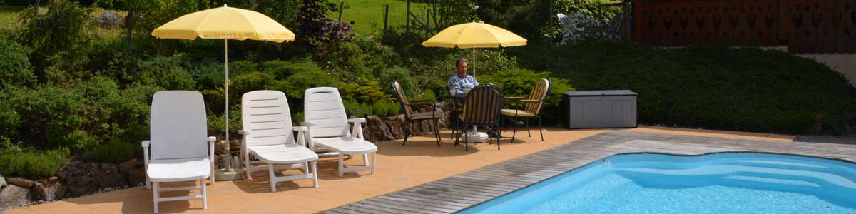 Vakantiehuis La Tulipe met zwembad in de zomer in Verchaix